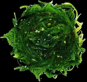 Bright green wakame salad with white sesame seeds on black.
