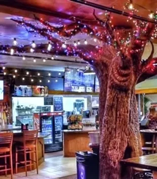 Dimly lit restaurant interior featuring a gnarled tree wrapped in colorful lights.