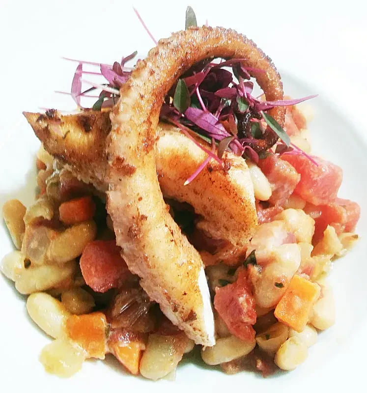 Pan-seared octopus tentacle, white beans, colorful diced vegetables, and microgreens.