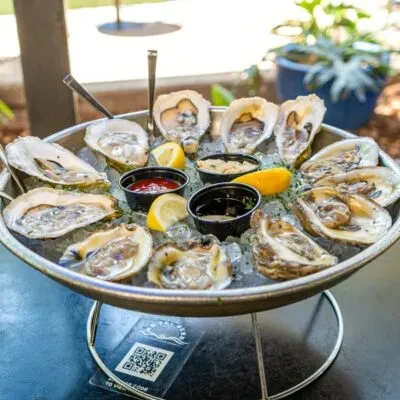 Platter of shucked raw oysters on ice with lemons and sauces.