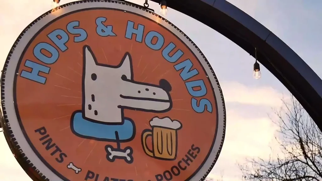 Illuminated "Hops & Hounds" sign with cartoon dog, beer mug, and bones.