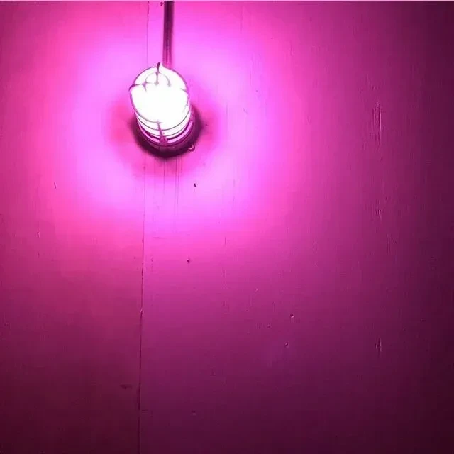 Caged industrial light illuminates textured wall with vibrant magenta glow.