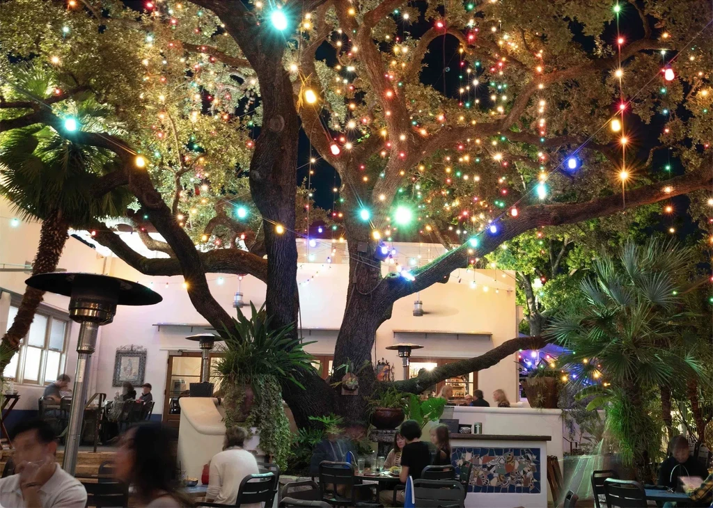 Outdoor restaurant patio at night, large tree with colorful string lights.