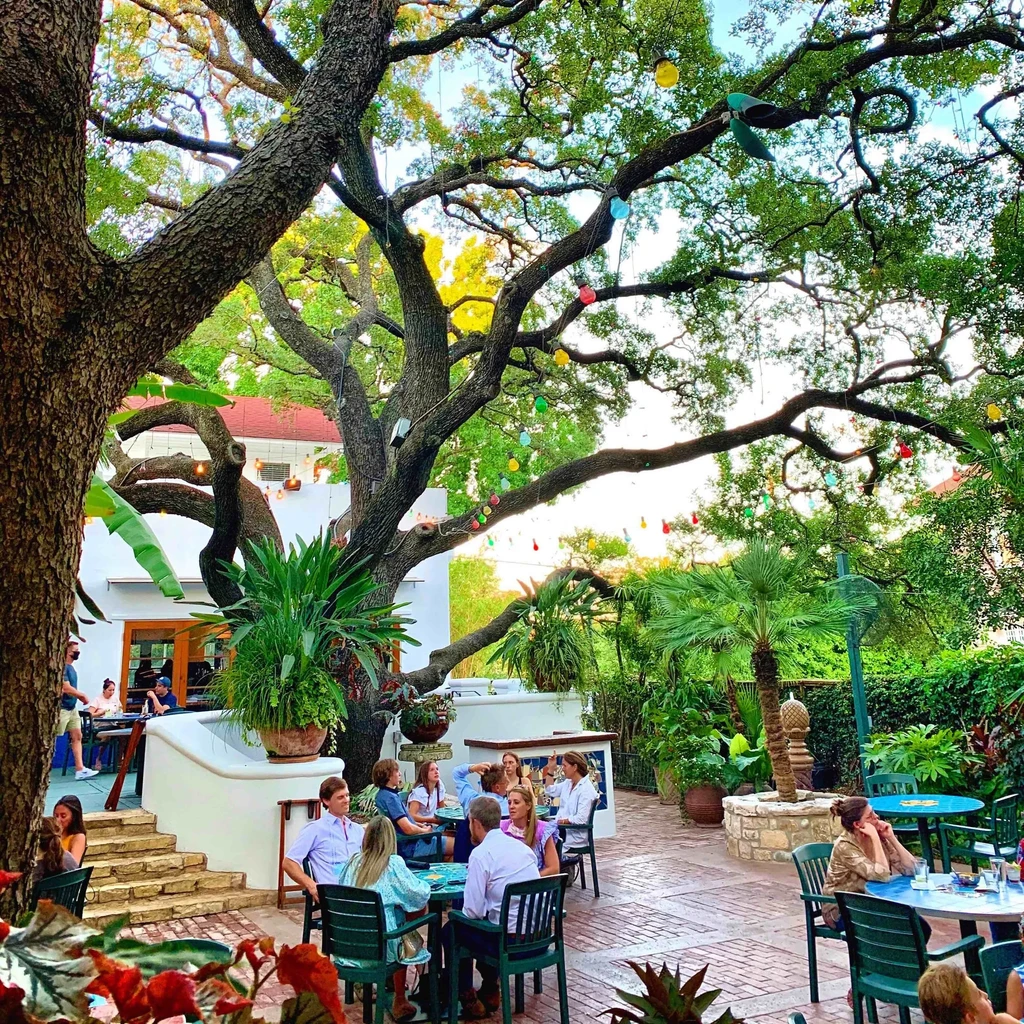 Lush restaurant patio under a large, lit tree with diners.