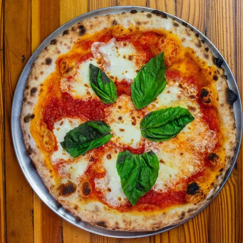 Neapolitan pizza with charred crust, tomato, mozzarella, and basil.