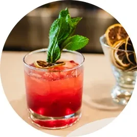 Red cocktail in rocks glass with mint and dried citrus.
