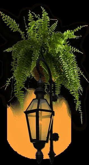 Lush green fern hangs above an ornate, glowing wall lantern.