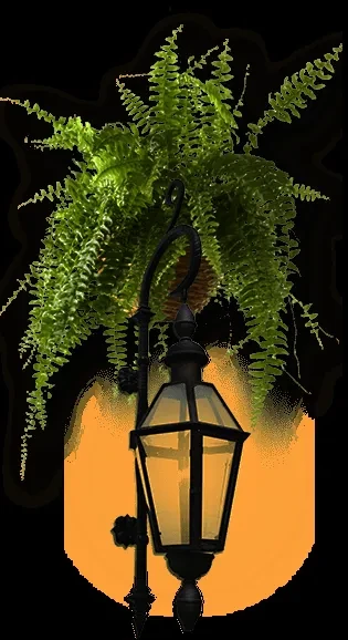 Lush Boston fern above a glowing dark vintage wall lantern.