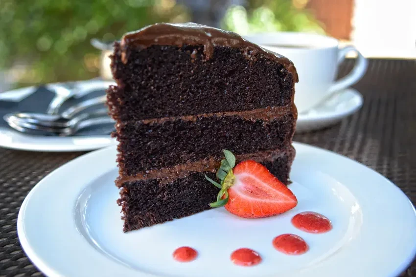 Chocolate layer cake slice with strawberry, berry sauce on white plate.