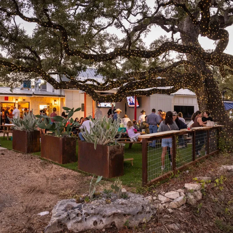 Large tree with twinkling string lights illuminates a lively outdoor patio.