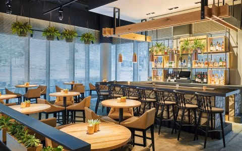 Interior of an empty modern bar and restaurant with plants.