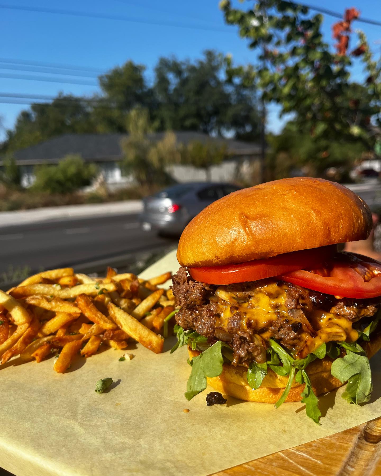 Cheeseburger with melted cheese, tomato, and fries on an outdoor table.