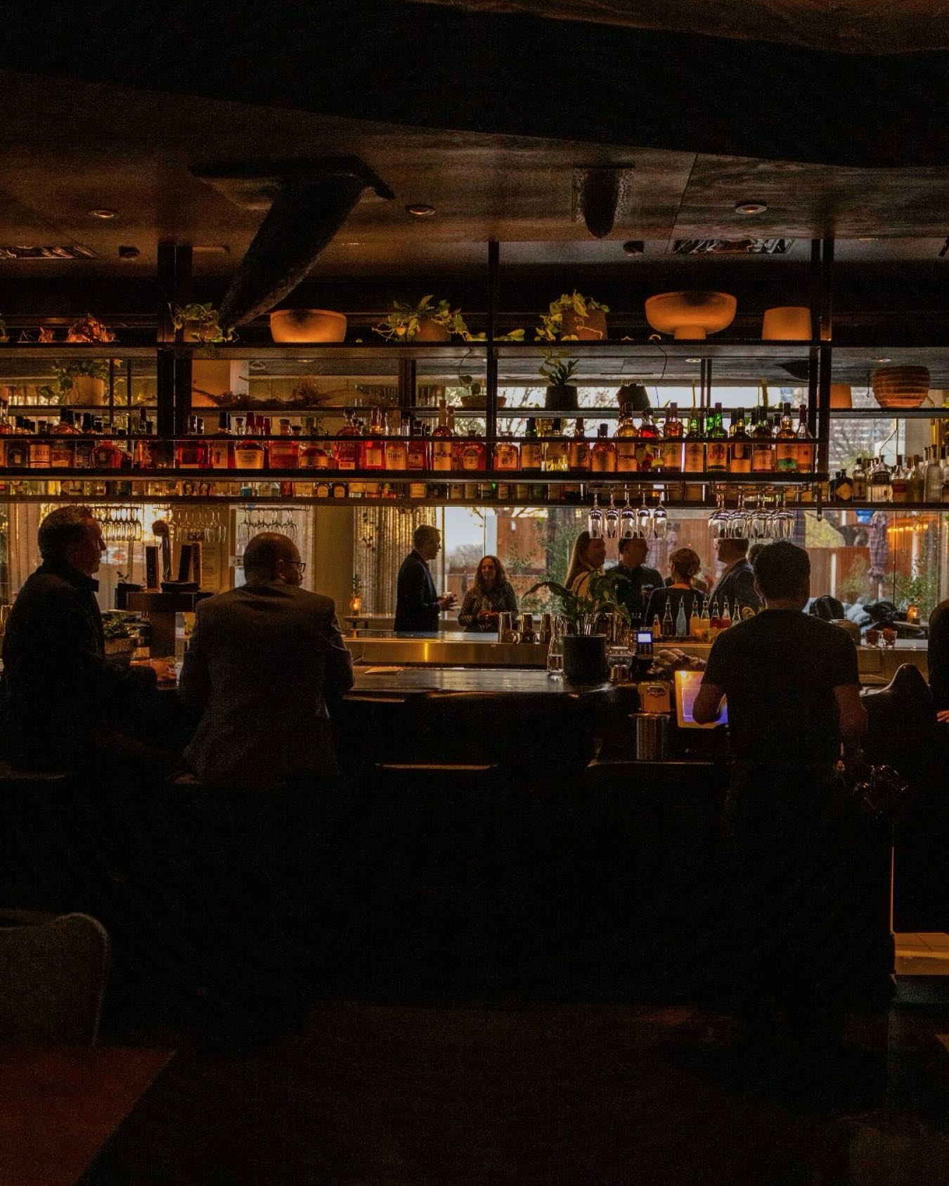 Dark bar interior with liquor bottles, customers, and a bartender.