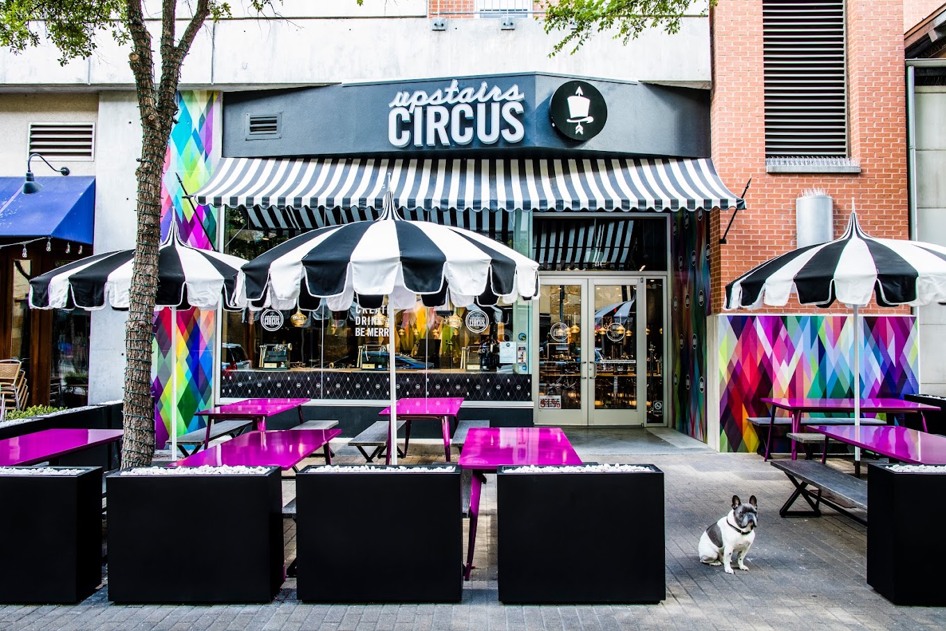 Upstairs Circus storefront with striped umbrellas, pink tables, colorful wall, and dog.