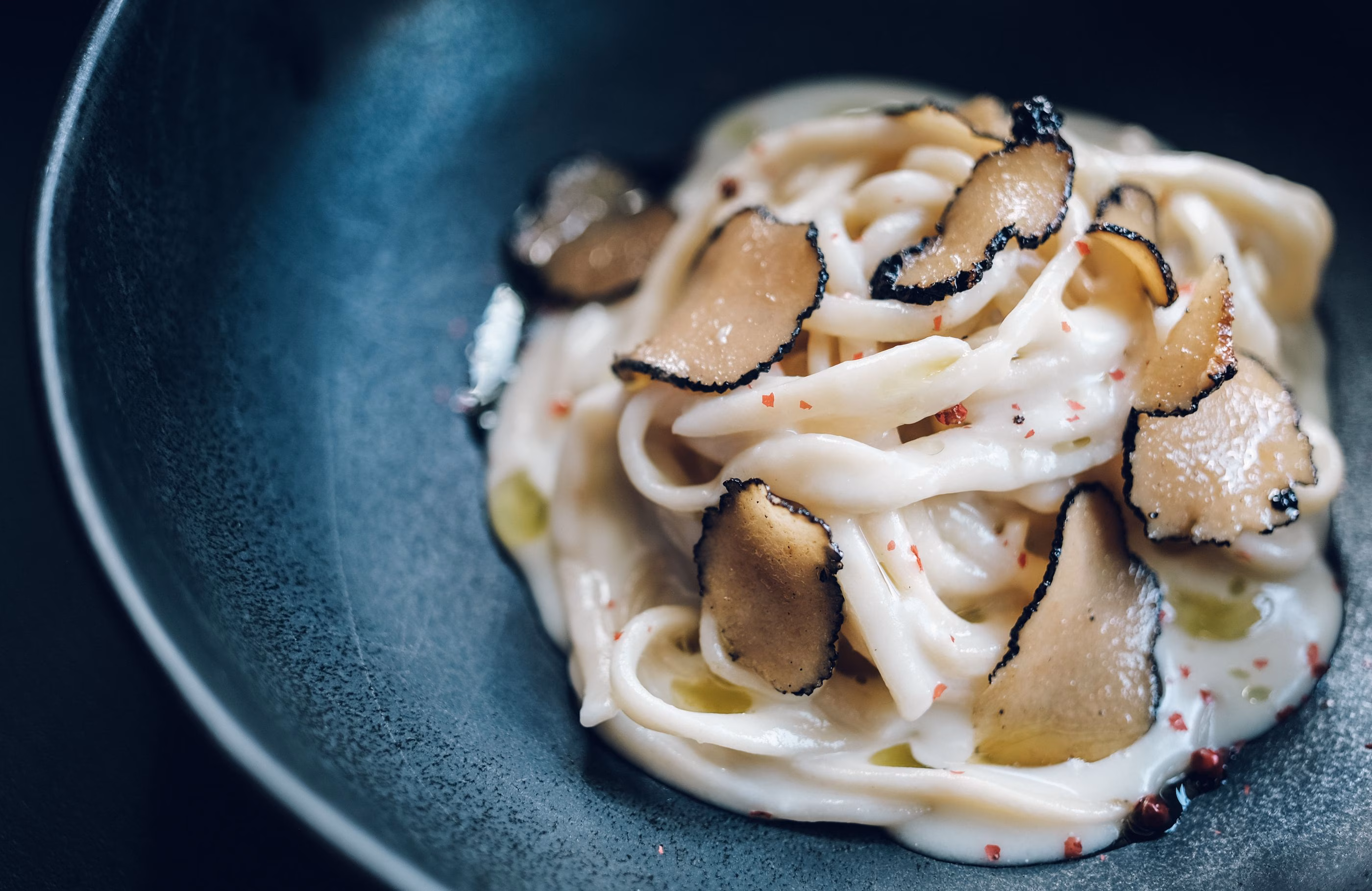 Pasta with creamy white sauce and black truffle slices.