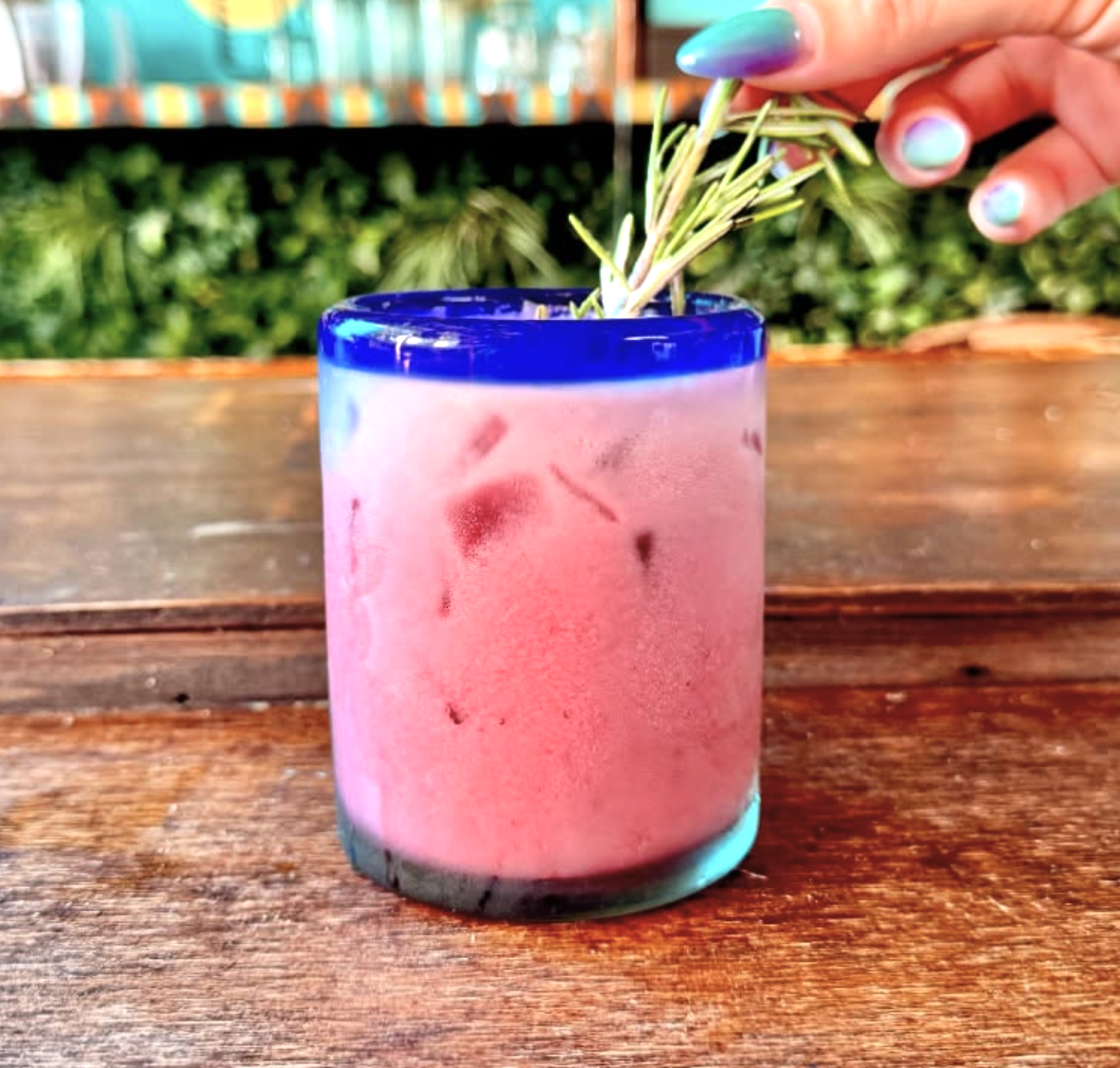 Hand garnishing a pink drink in a blue-rimmed glass with rosemary.