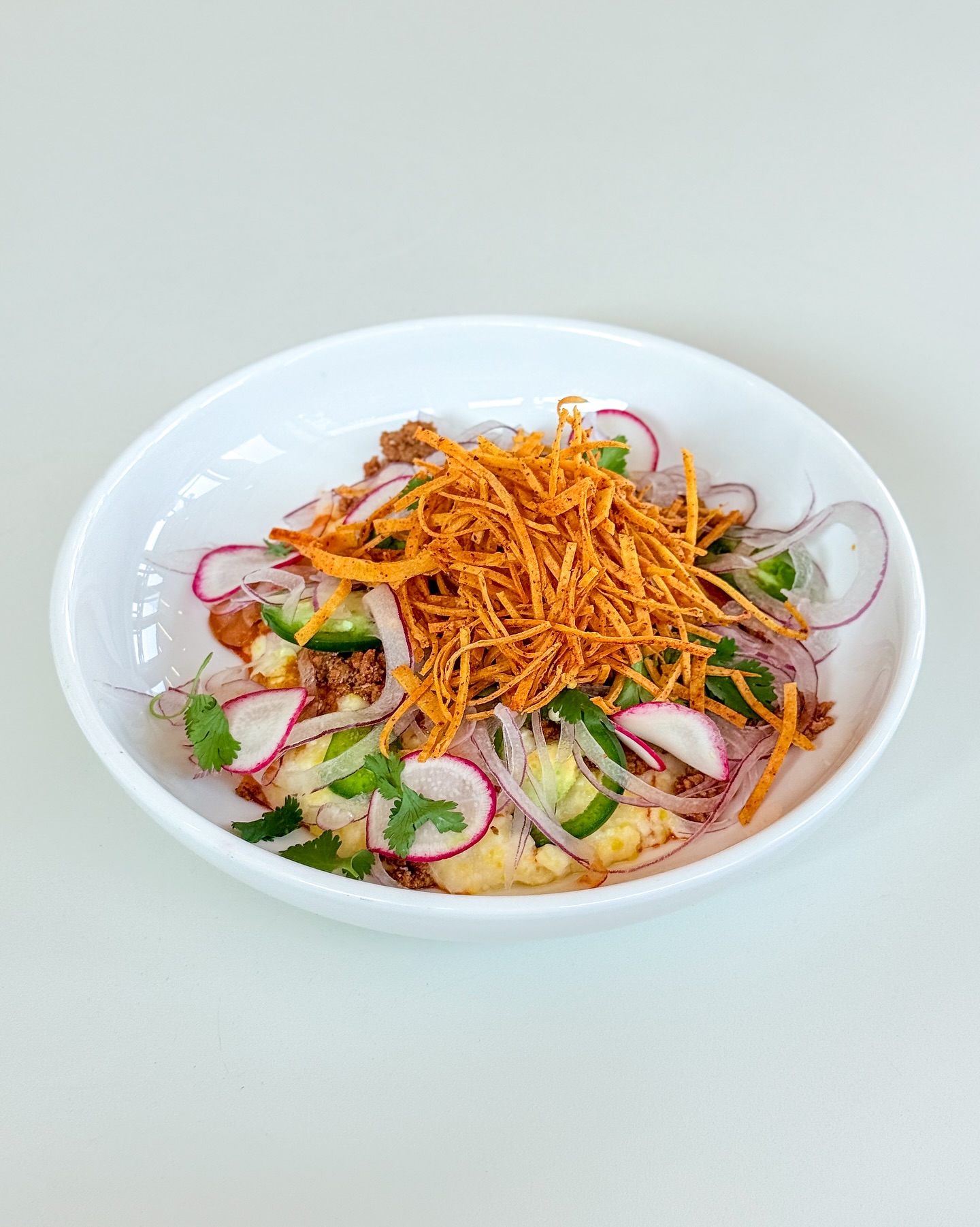 A dish of crispy strips, radishes, onions, cilantro, and ground meat.