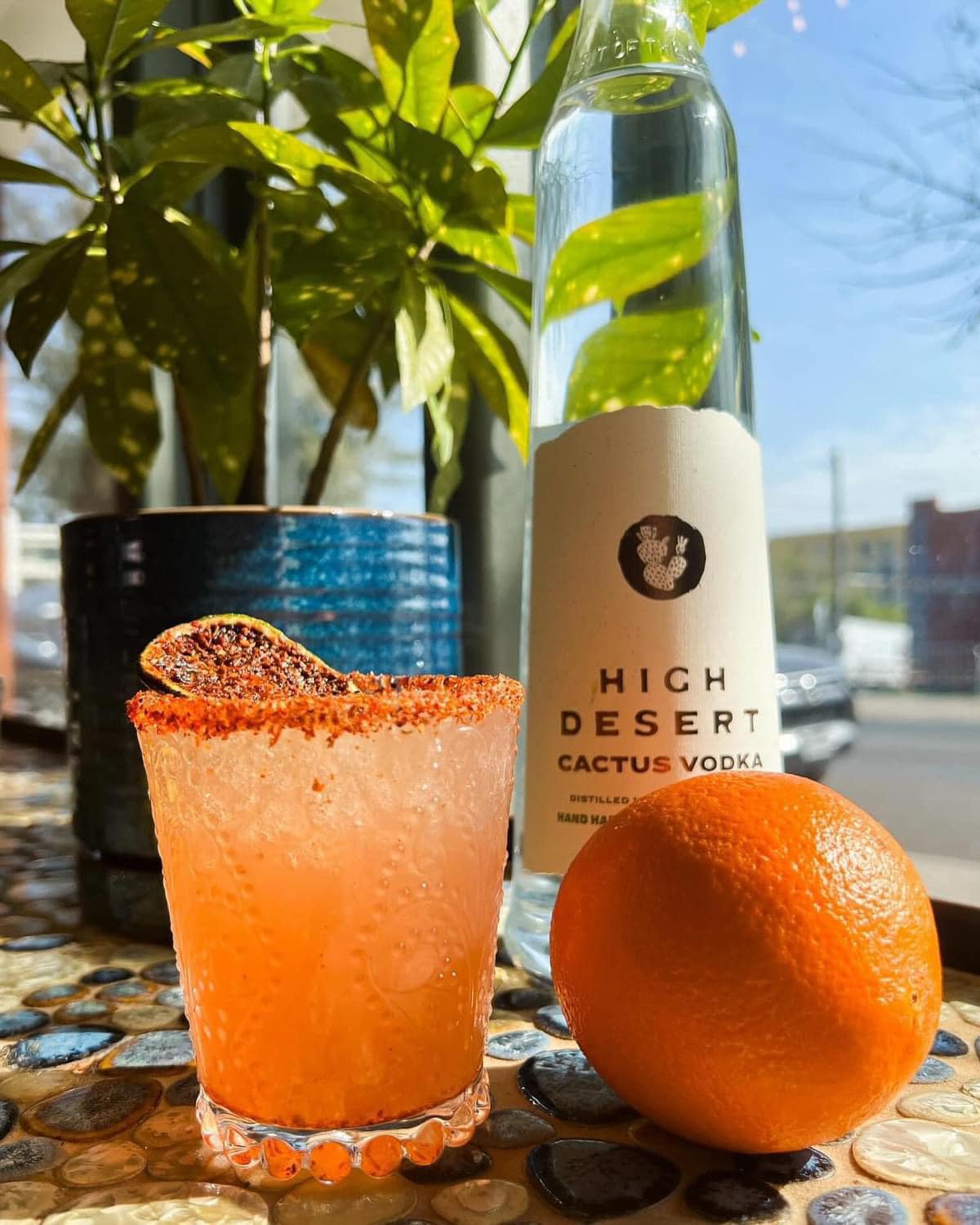 Orange cocktail, spiced rim, cactus vodka bottle, and a whole orange.