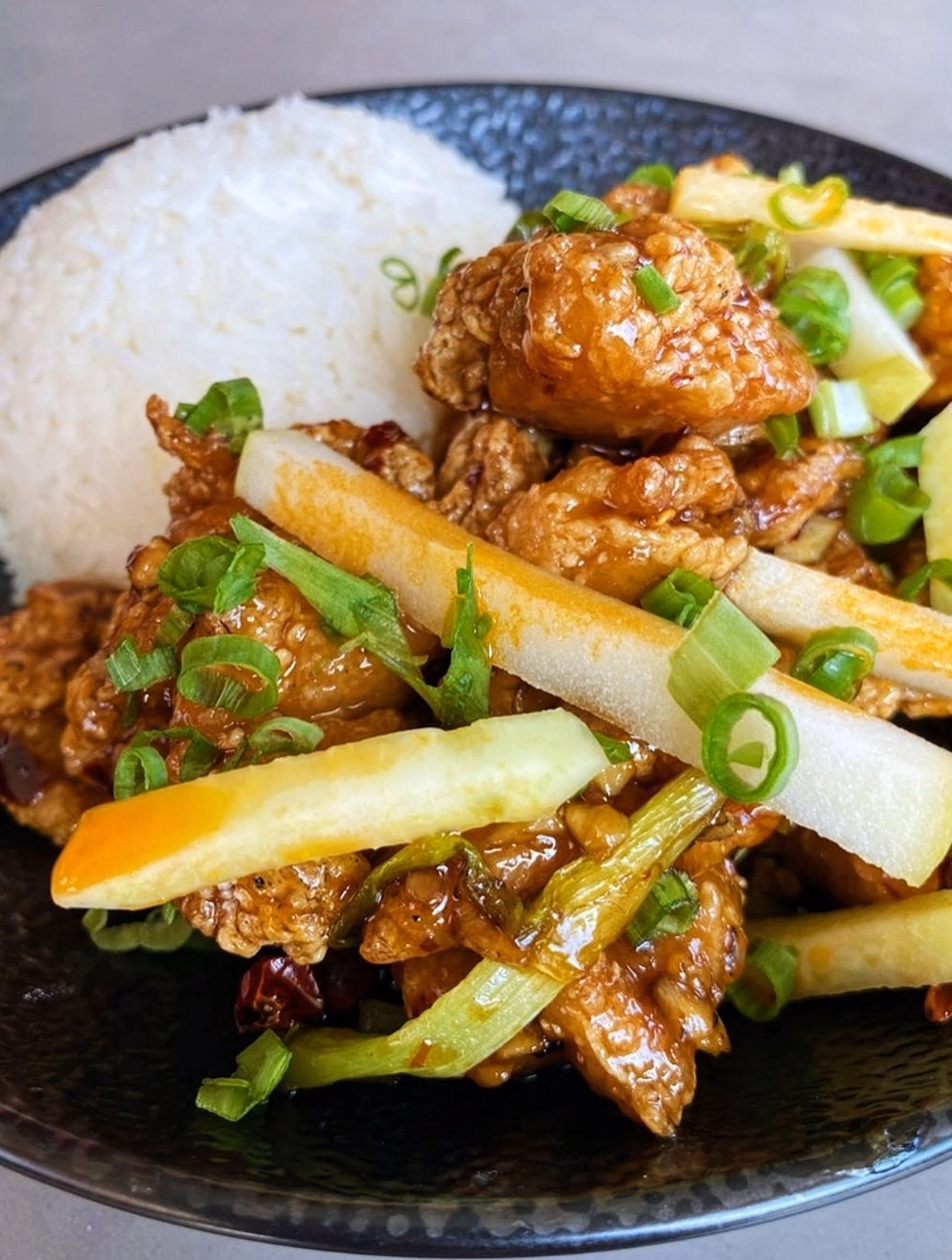 Glazed dish with white rice, green onions, and vegetable strips.