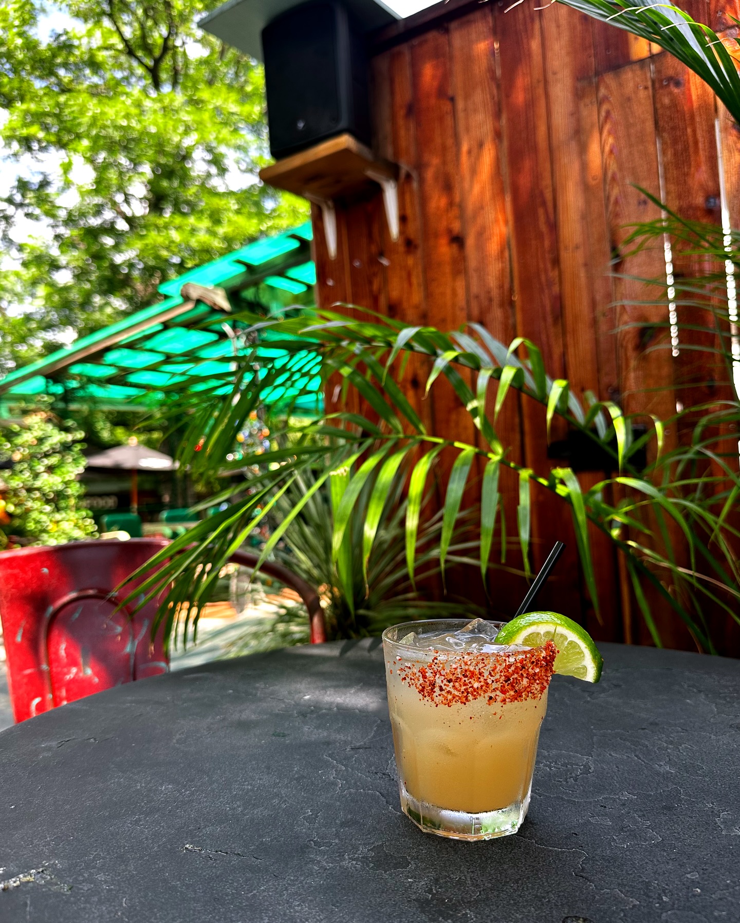 Chili-rimmed cocktail with lime wedge on an outdoor table with plants.