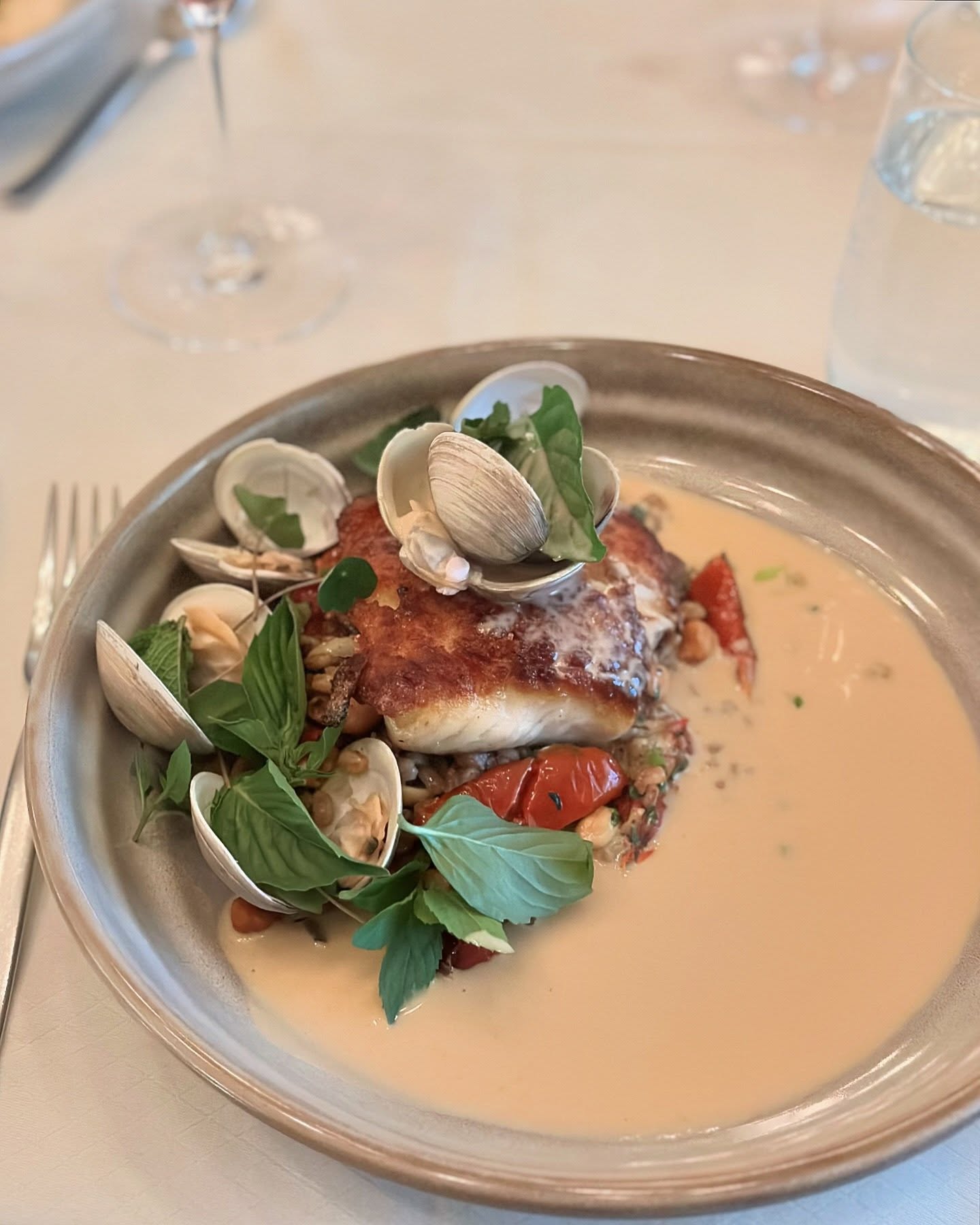 Pan-seared fish, clams, basil, tomatoes, and creamy sauce on a plate.
