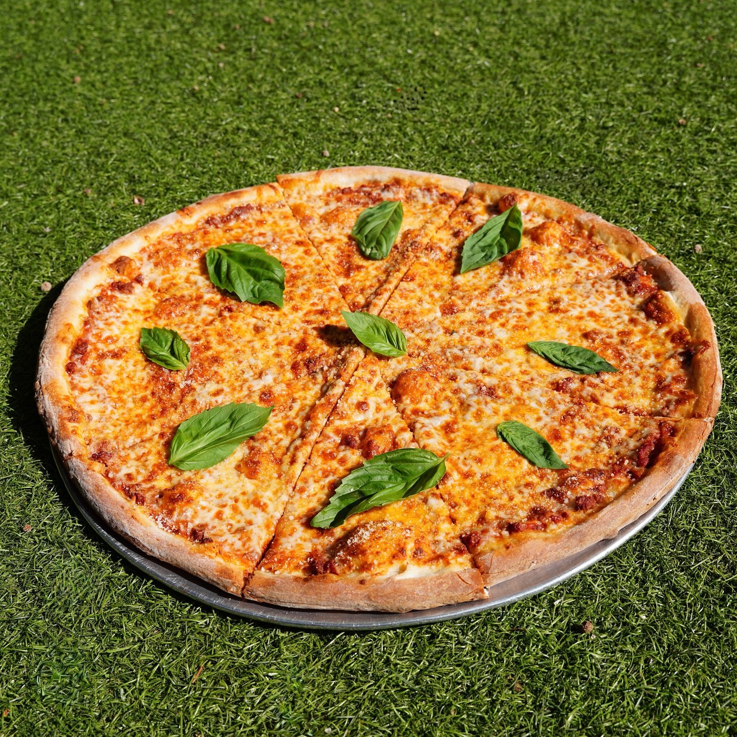 Large cheese pizza with basil leaves on a metal pan on grass.