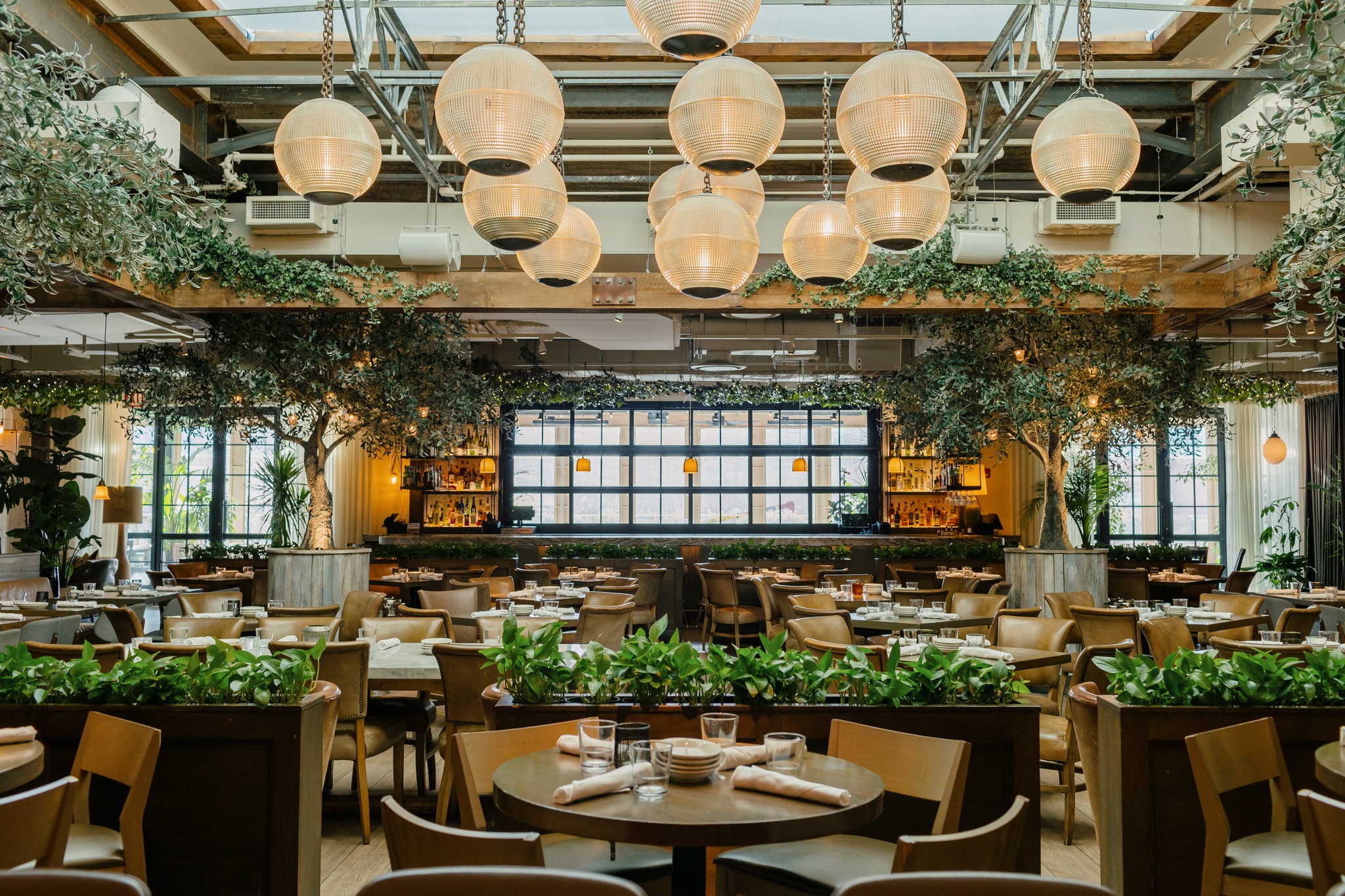 Restaurant dining room with hanging globe lights, olive trees, and set tables.