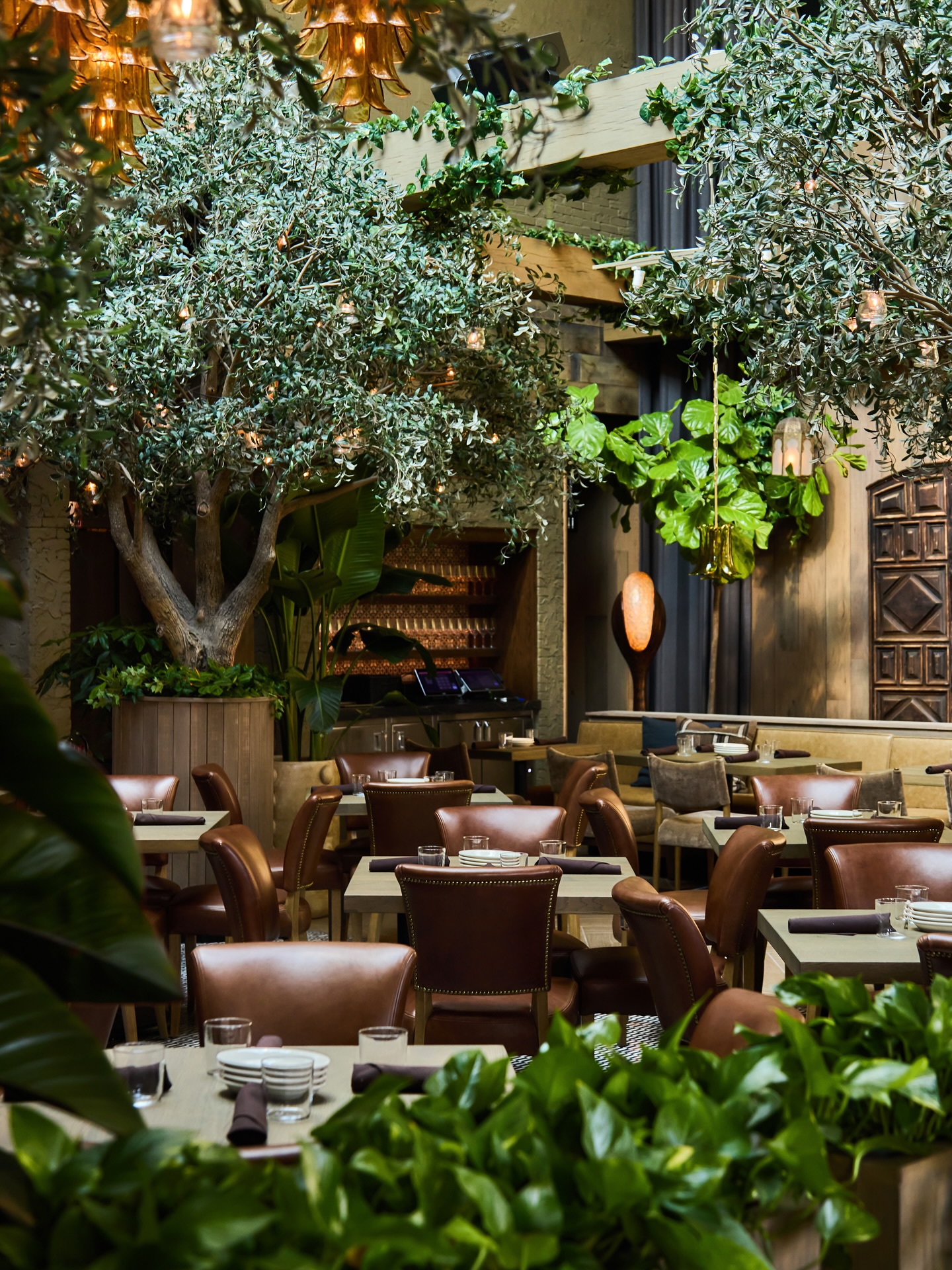 Elegant restaurant dining room with trees, leafy vines, and leather chairs.