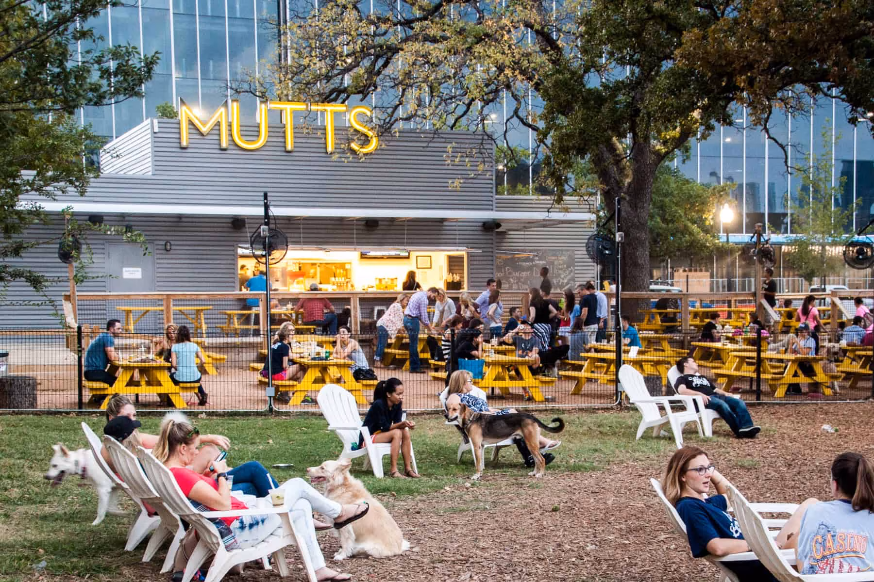 MUTTS Canine Cantina® - Austin