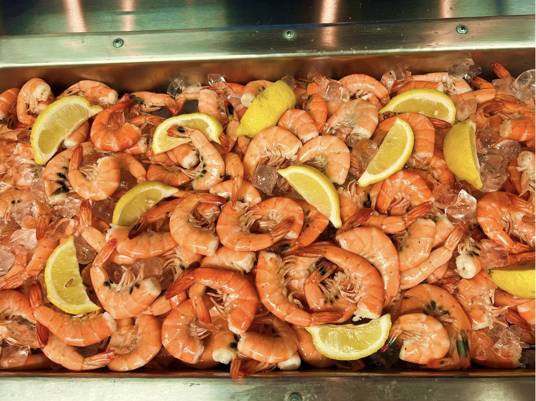 Cooked shrimp with lemon wedges and ice in a metal tray.