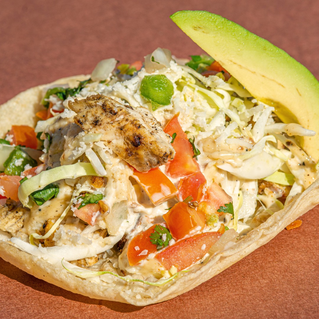 Grilled chicken taco salad with cabbage, tomatoes, cheese, and avocado.