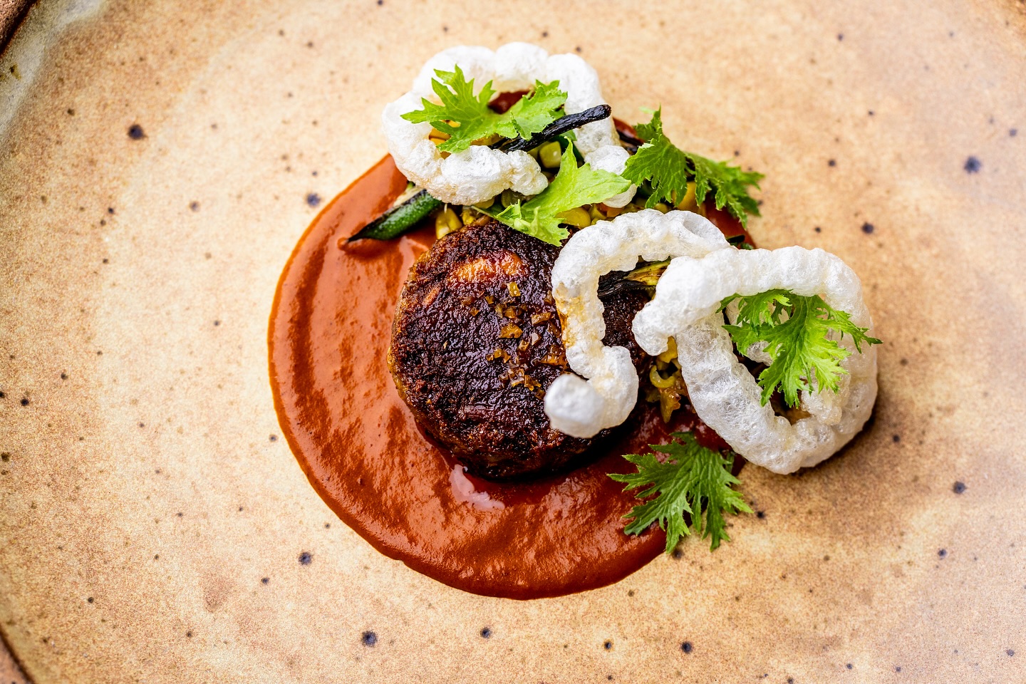 Dark patty, red sauce, crispy rings, and fresh herbs.