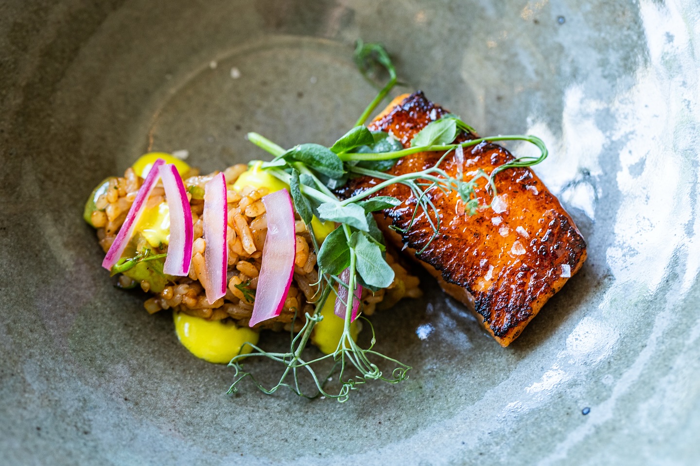 Seared salmon, grain, radish, and greens on a plate.