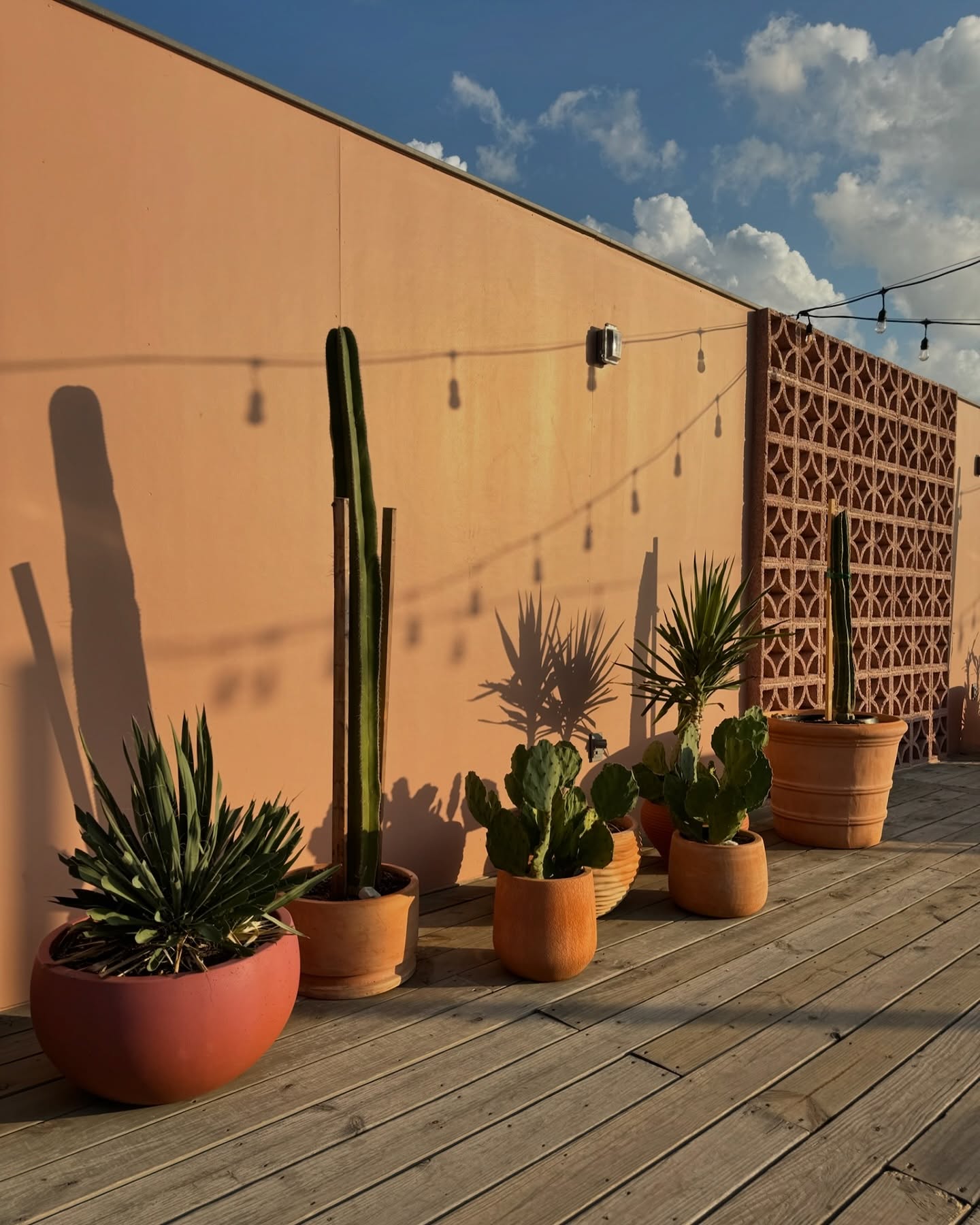 Potted desert plants, string lights, and peach wall on a deck.