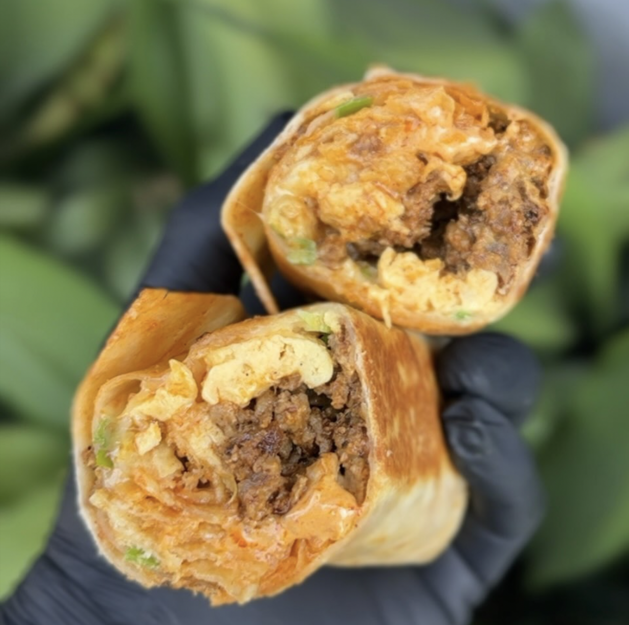 Two halves of a meat and egg burrito held by a gloved hand.