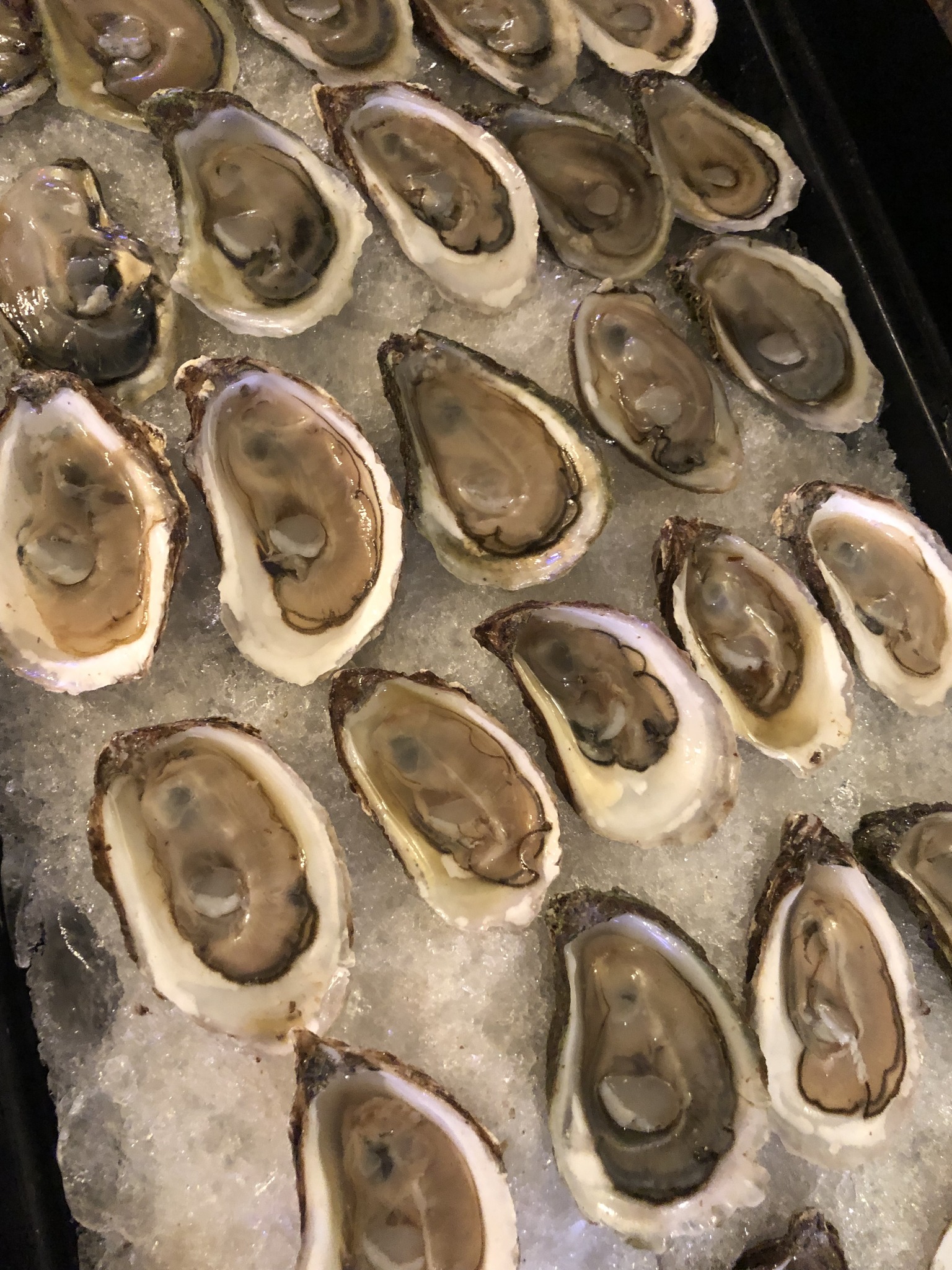 Many fresh oysters on the half shell, arranged on crushed ice.
