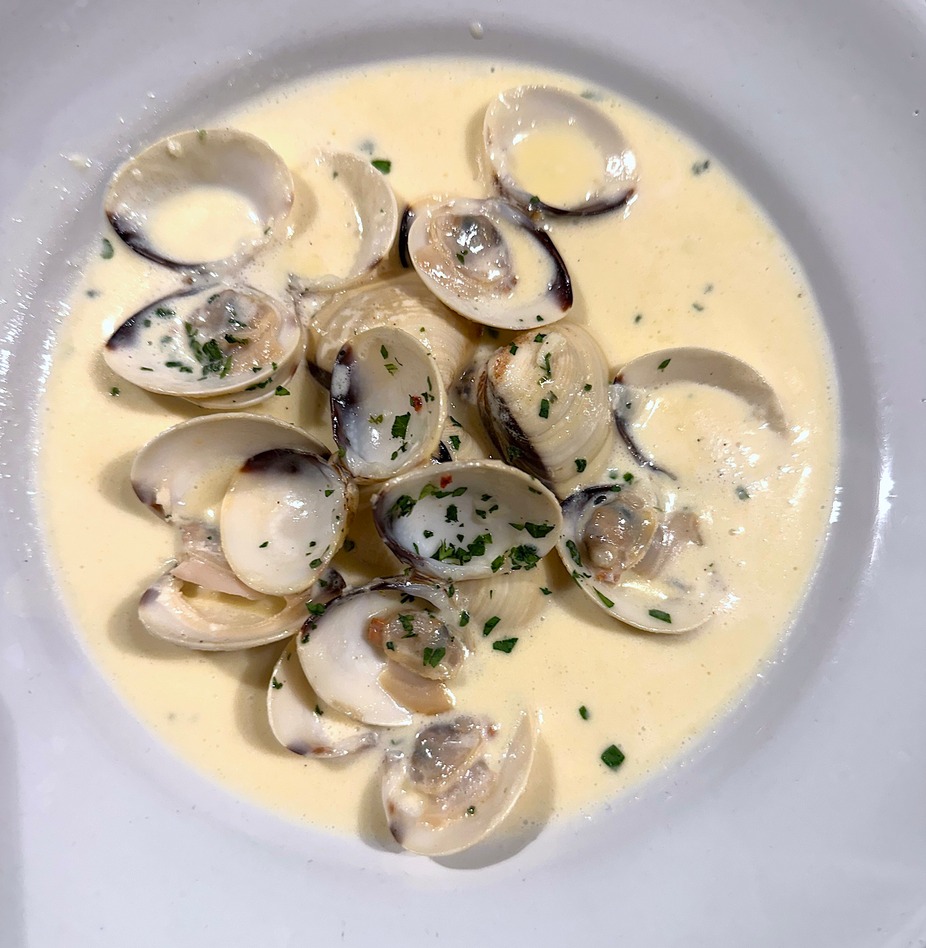 Open clams in a creamy sauce, garnished with green herbs.