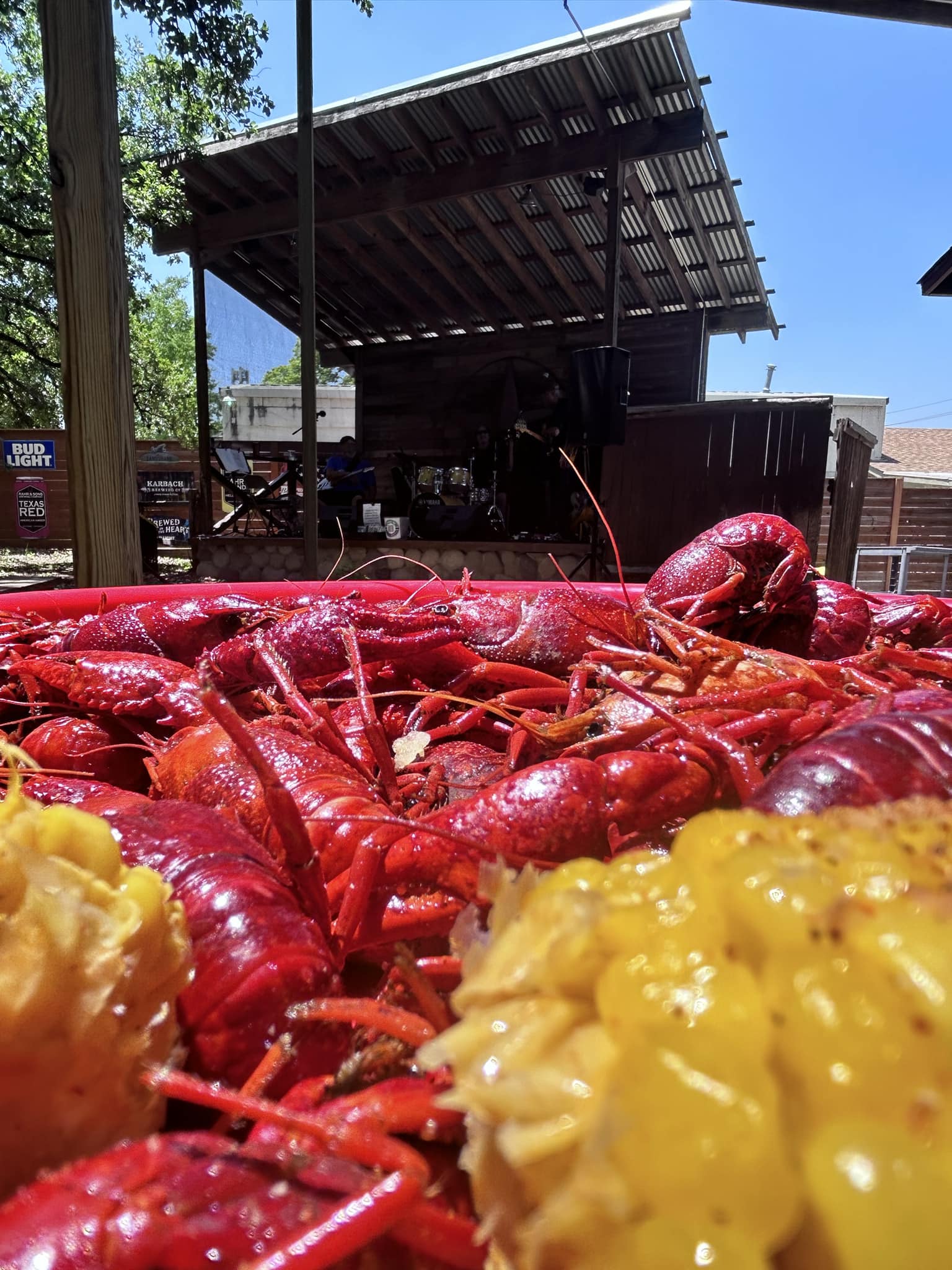 Pile of cooked crawfish and corn at an outdoor music venue.