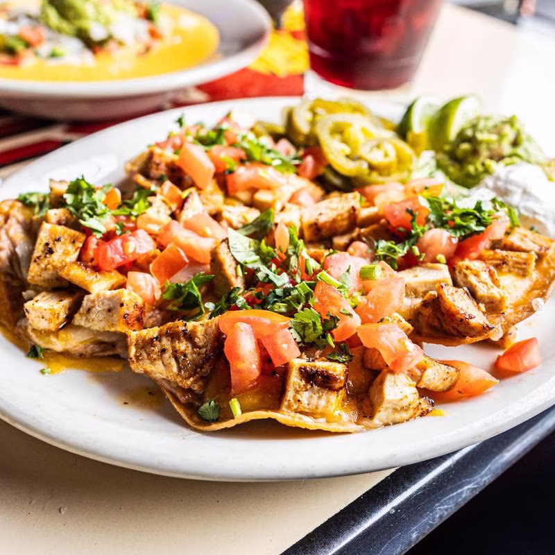 Plate of chicken, tomatoes, cilantro, pickled jalapeños, guacamole, and sour cream.