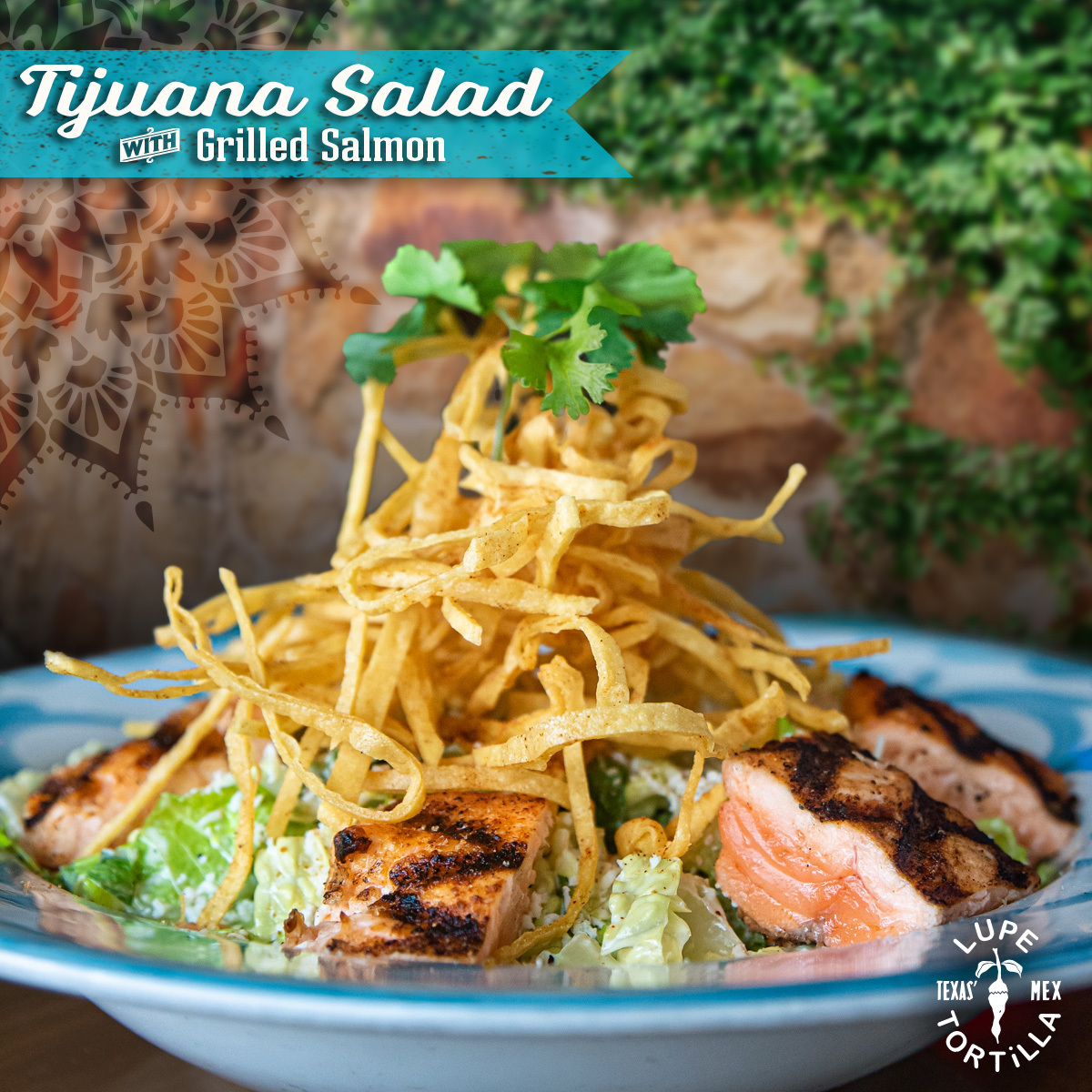 Tijuana Salad with grilled salmon, lettuce, and crispy tortilla strips.