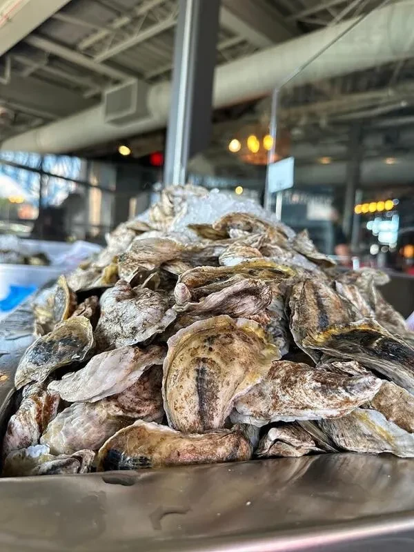 Fresh oysters on ice at a modern raw bar.