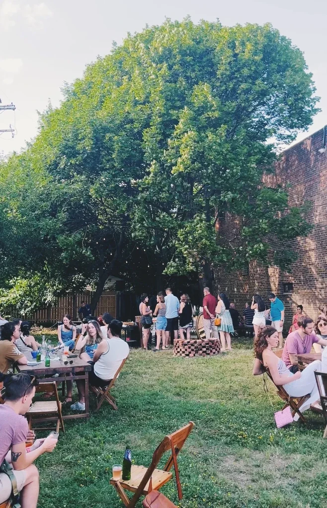 People socializing on a sunny green patio under a large tree.