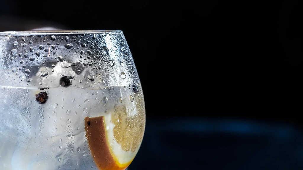 Condensation-covered drink with ice, a citrus slice, and dark berries.