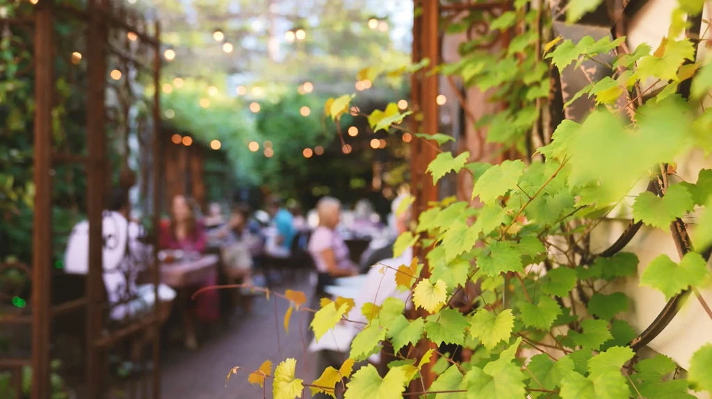 Foreground vines sharply frame a blurred outdoor restaurant patio with string lights.