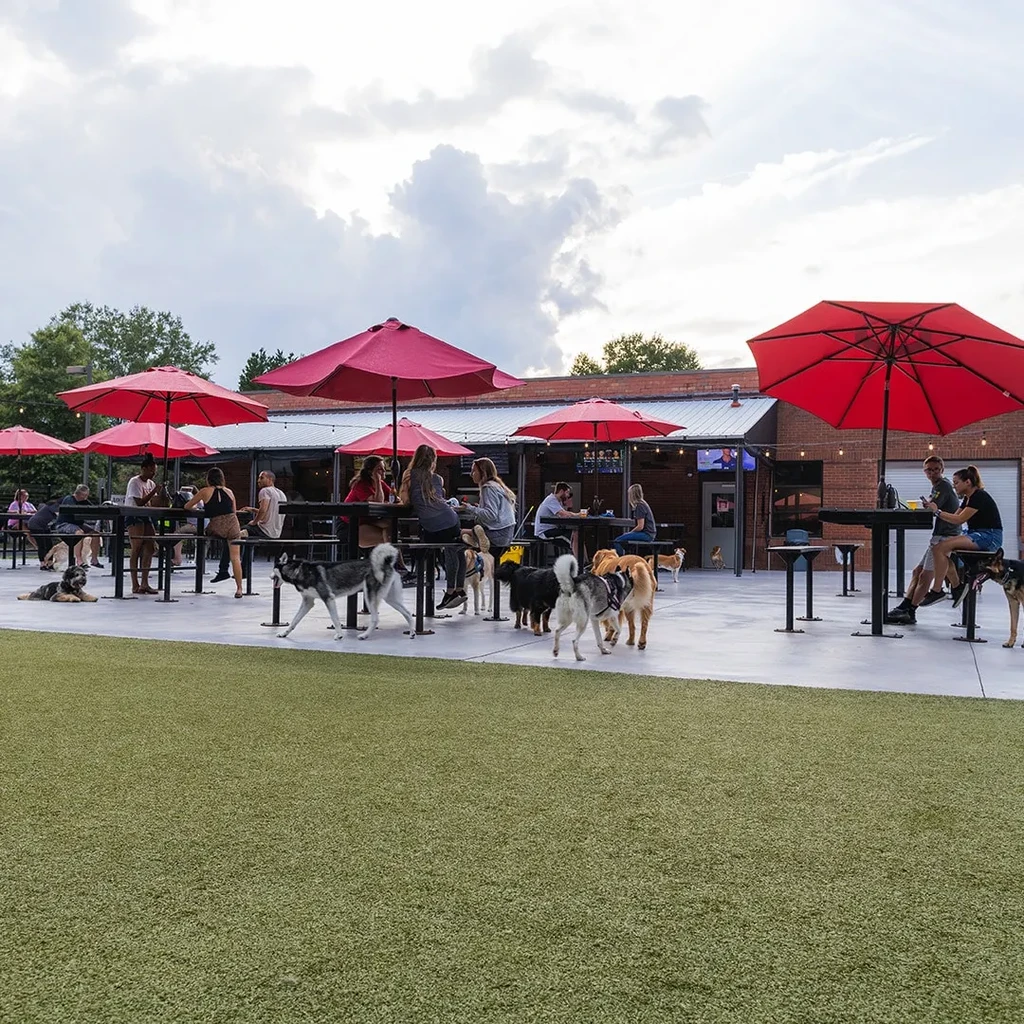 Lively dog-friendly restaurant patio with people, dogs, and artificial turf.