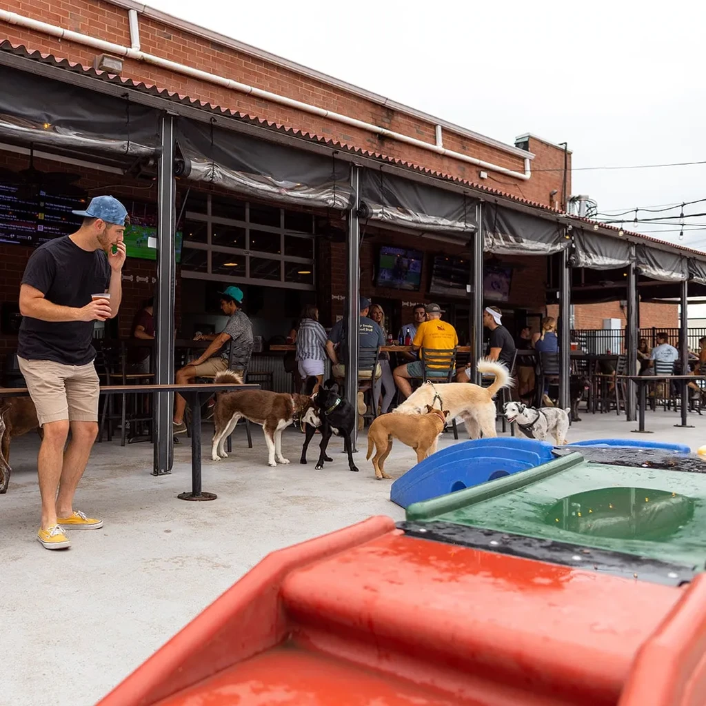 Vibrant dog-friendly patio with people, dogs, and open building.