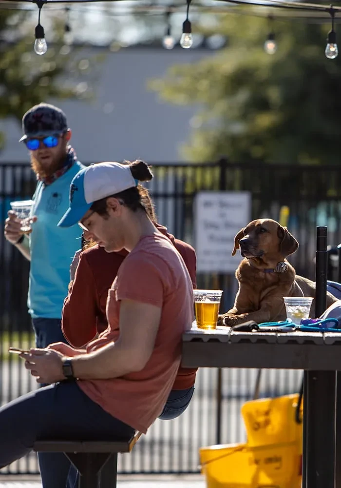 Dog lies on picnic table with people and drinks outdoors.