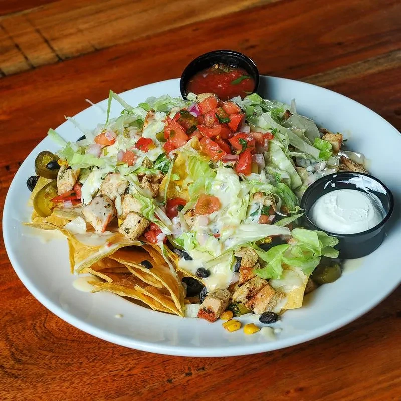 Plate of chicken nachos with cheese, beans, jalapeños, salsa, and sour cream.