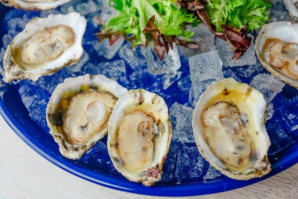 Fresh oysters on half-shells, nestled on ice on a blue platter.