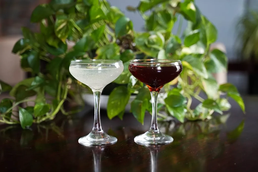 Two contrasting cocktails in coupe glasses against a green plant background.
